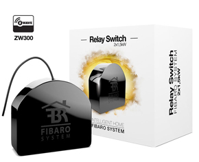 Double Relay Switch